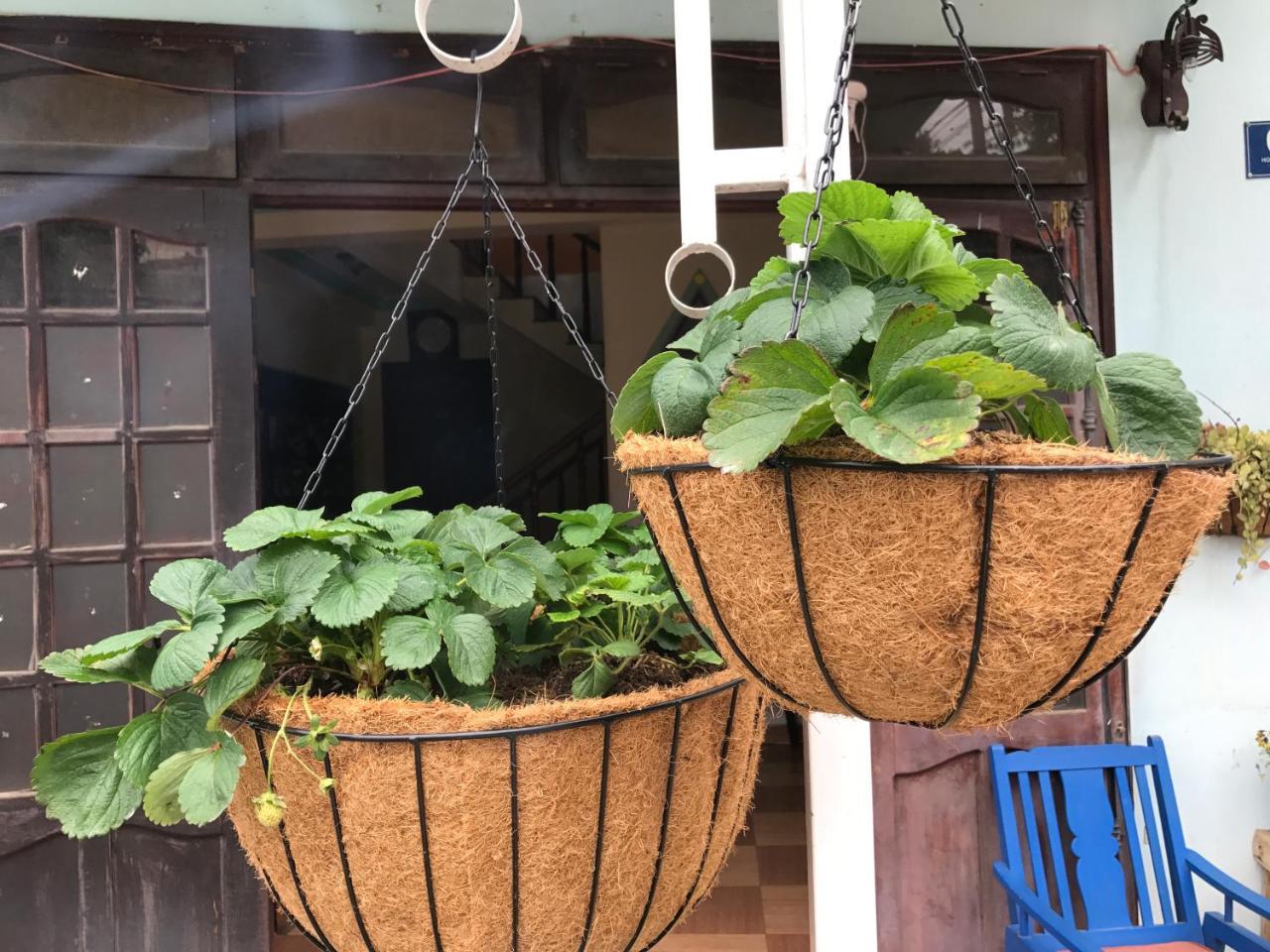 Dalat Coffee House Homestay Exterior photo